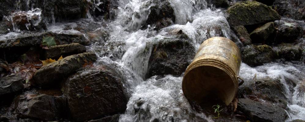 
            Фотография Сидар Хилла