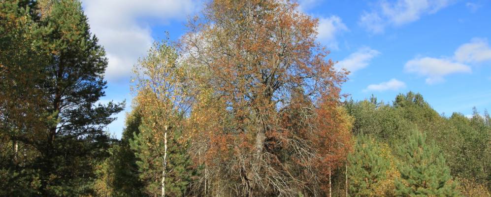 Фотография деревни Передолы