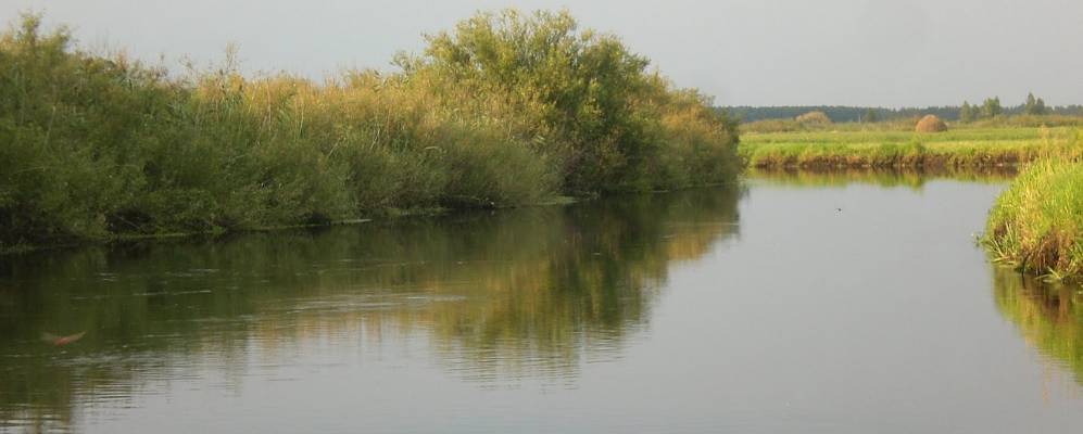 Фотография деревни Стайки