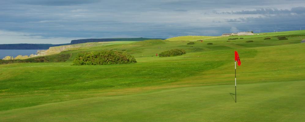 
            Фотография Макдаффа