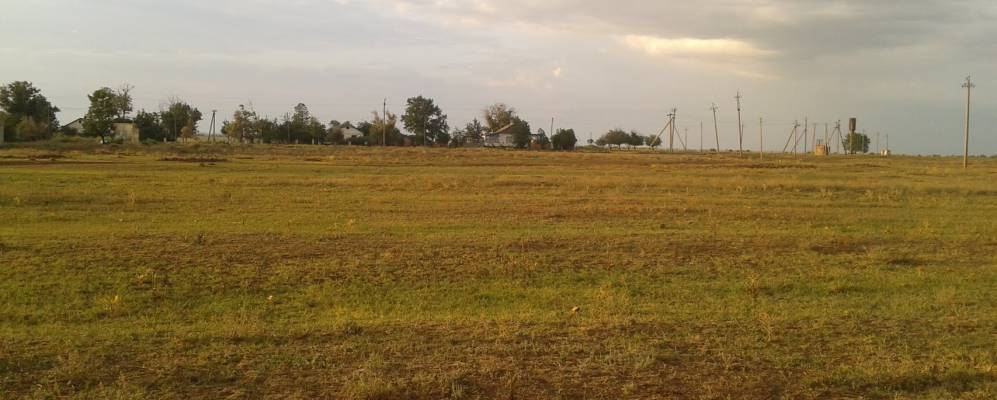 
            Фотография Трактового