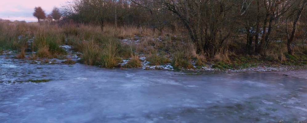
            Фотография Нюмэйнса