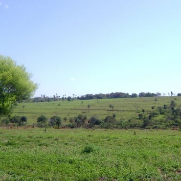 Сальто-дель-Гуайра