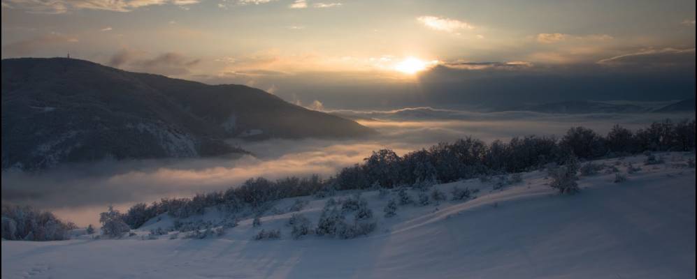
            Фотография Теренцо