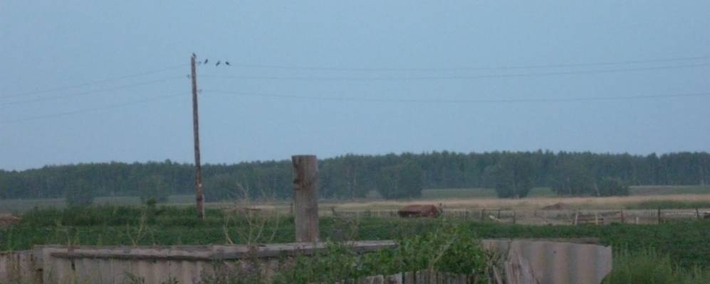 
            Фотография Польяново