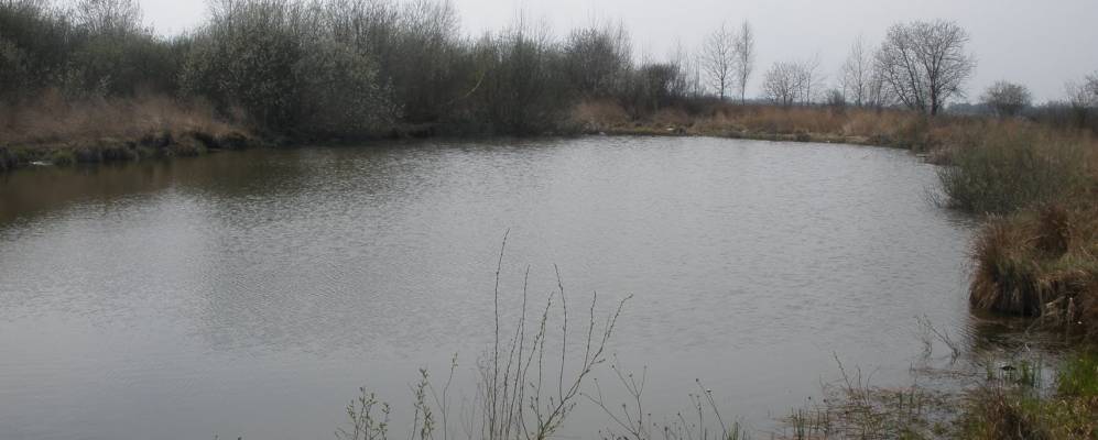 Магазин Деревня Мостиловичах Клецкого Района Стоимость