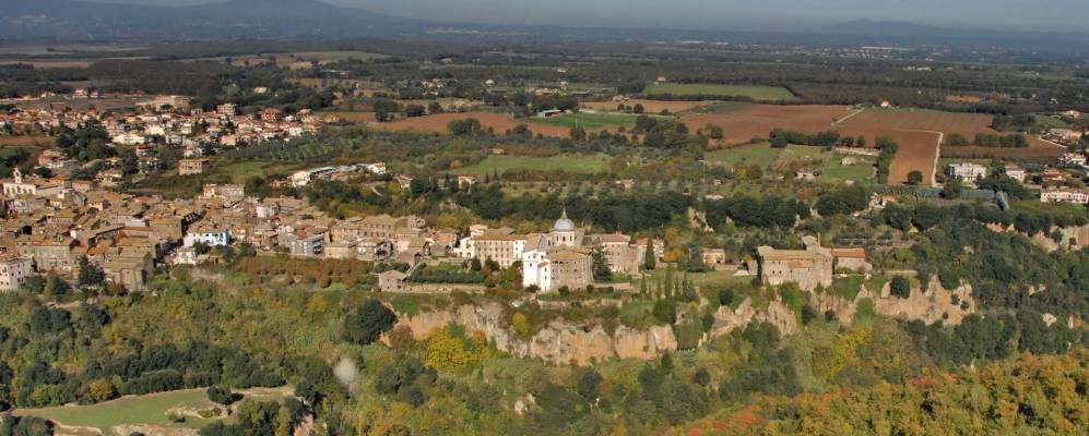 
            Фотография Непи