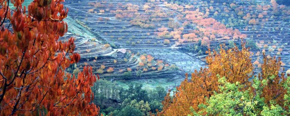 Фотография Торнавакас