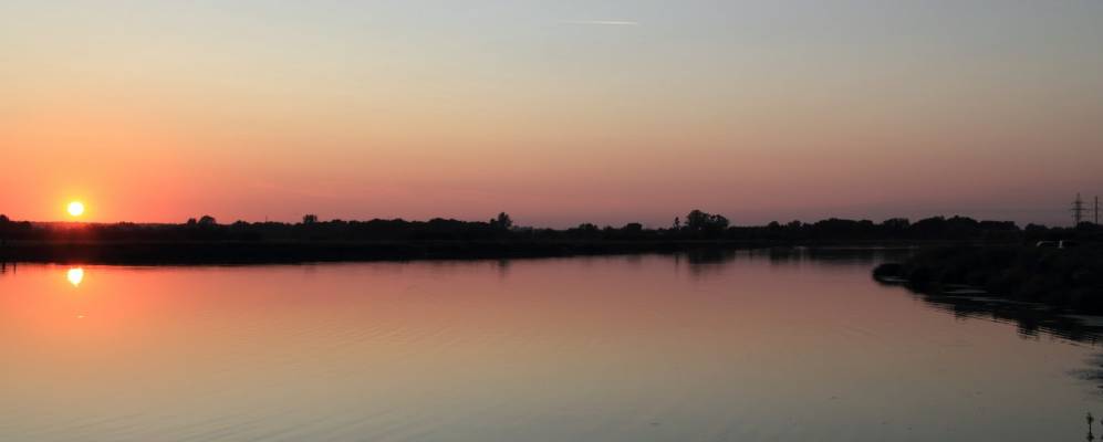 
            Фотография Плодового