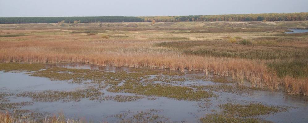 
            Фотография Вожей