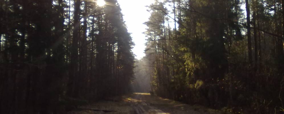 
            Фотография поселка Корени