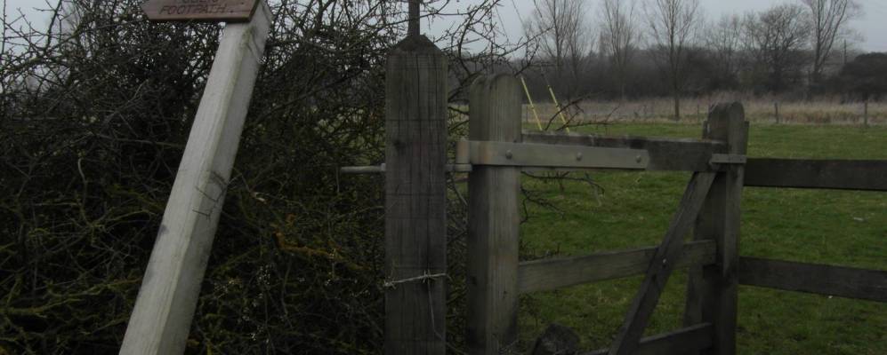 
            Фотография Чиппинг Онгара