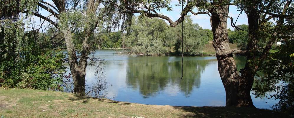 
            Фотография Конюшево