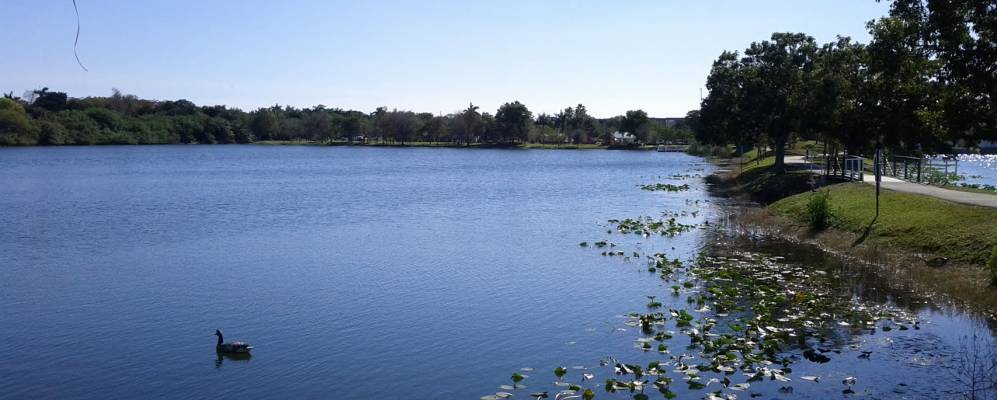 
            Фотография Твин лейка