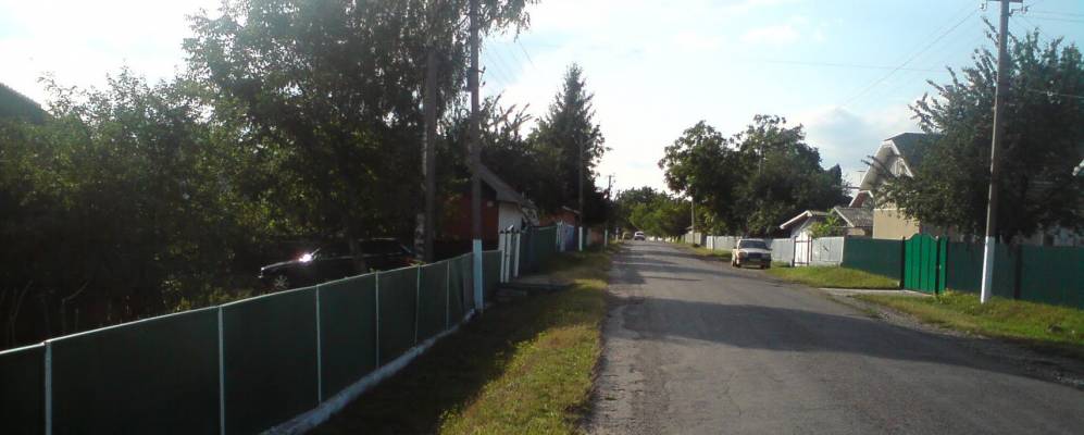 
            Фотография Киселева