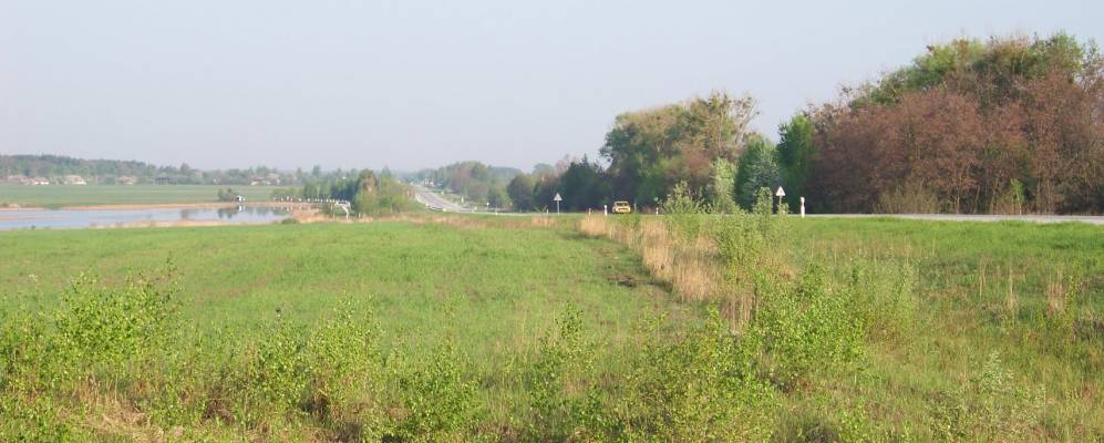 
            Фотография Великого Леса