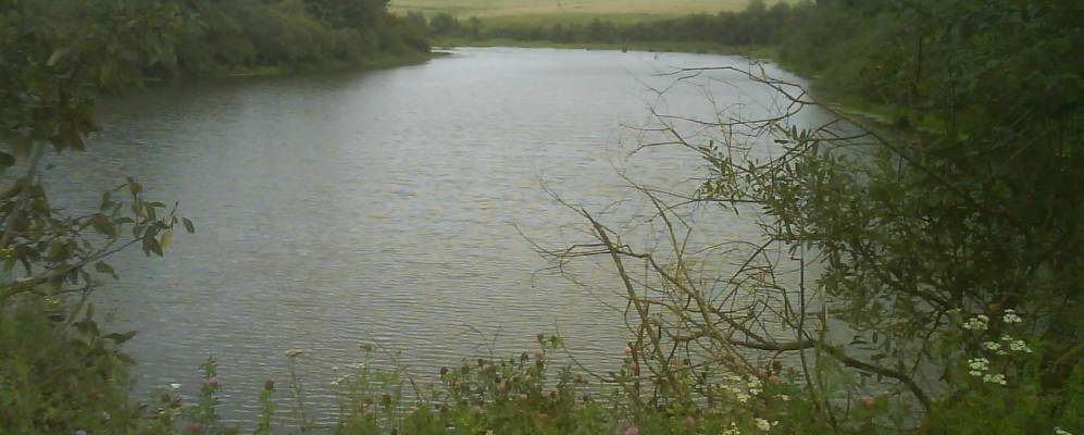 Фотография Самолюбово