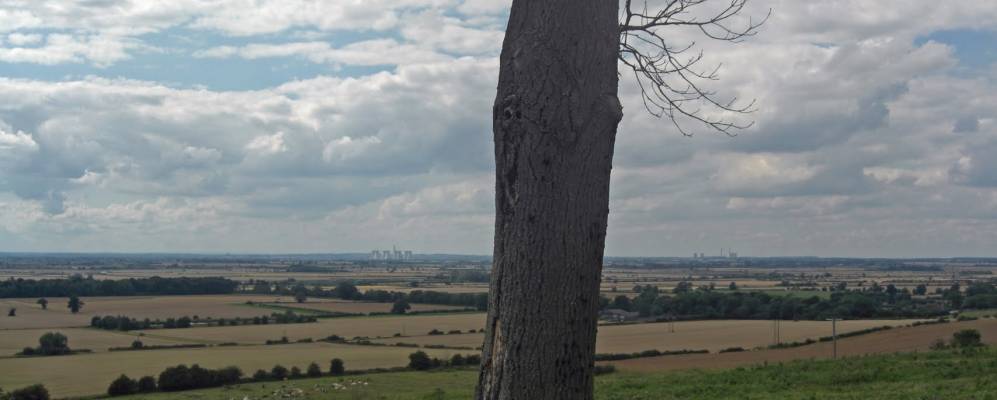 Фотография Бертона