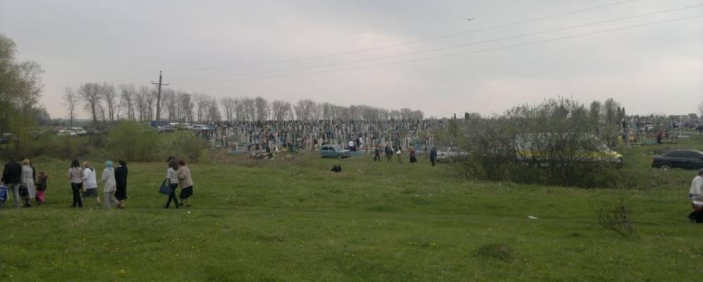 
            Фотография Мирного