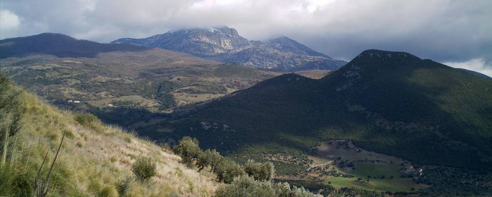 
            Фотография Бизиньяно