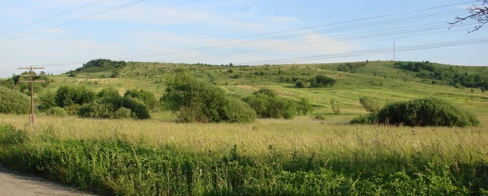 
            Фотография Передельницы