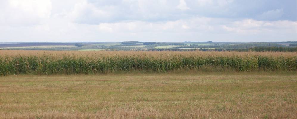 
            Фотография Московских Выселок