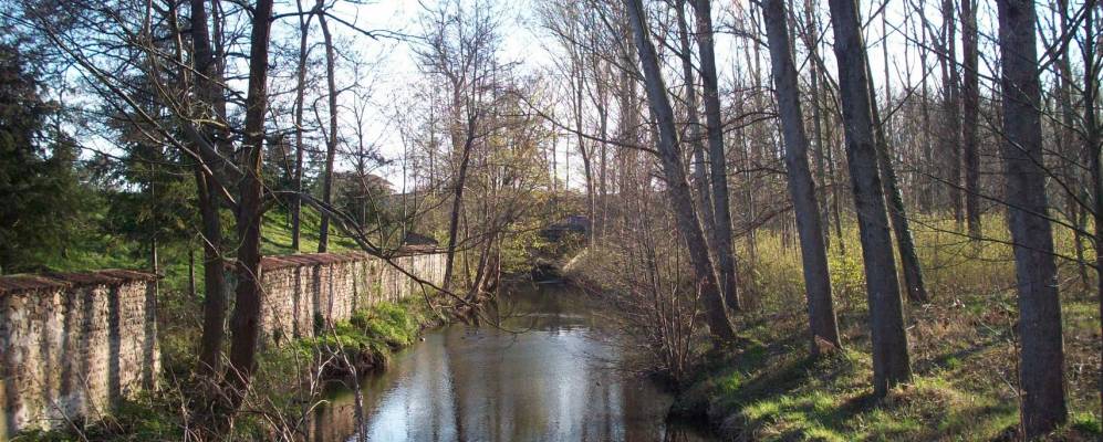 
            Фотография Бонсона