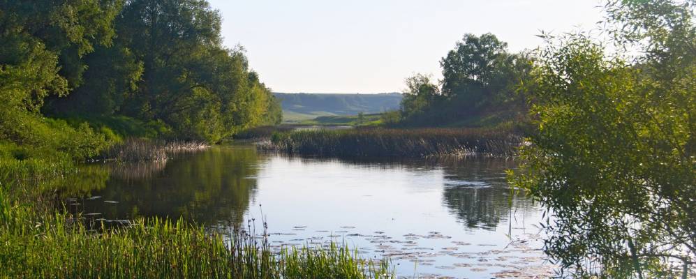 
            Фотография Верхов