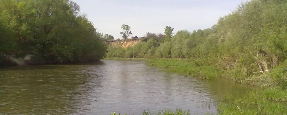 
            Фотография Девчино