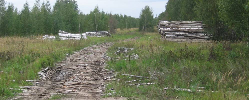 
            Фотография Непложи