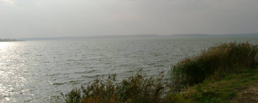 
            Фотография Никольского