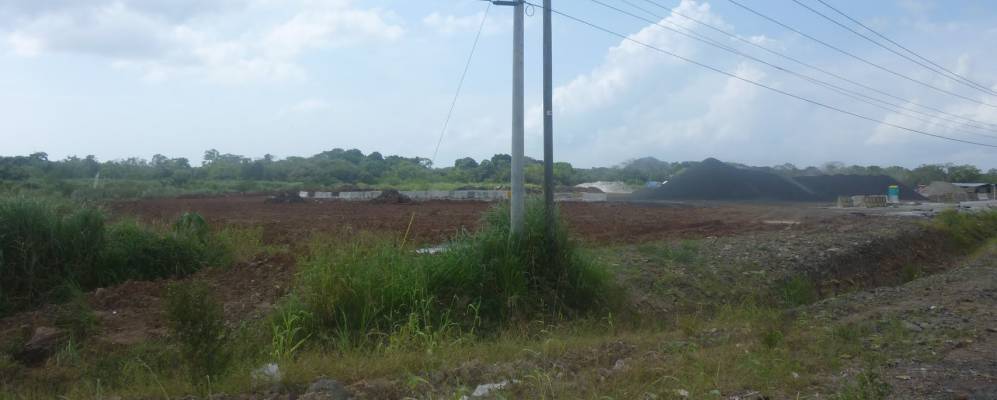 
            Фотография Арраихана