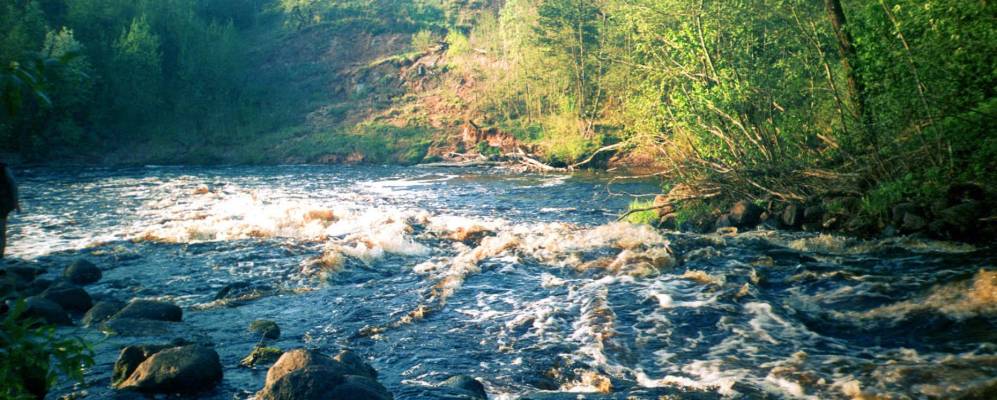 
            Фотография Бородино