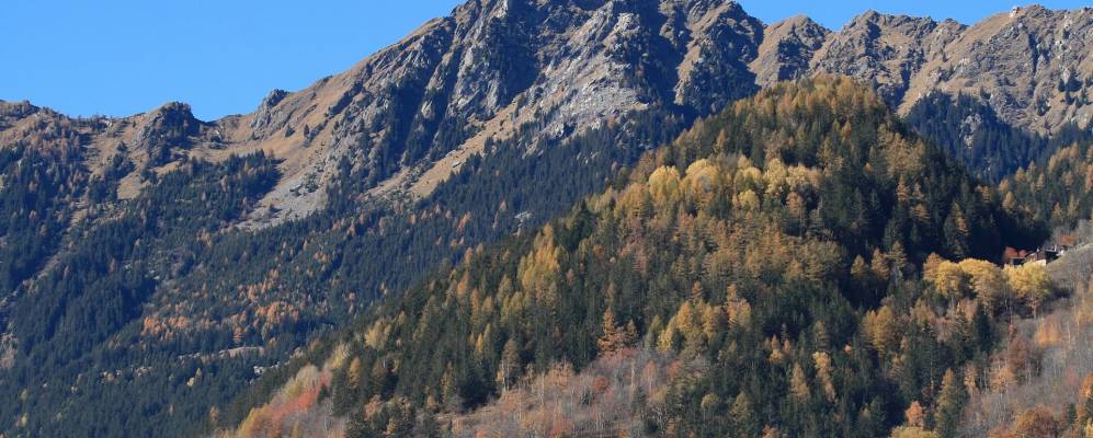 
            Фотография Сондало