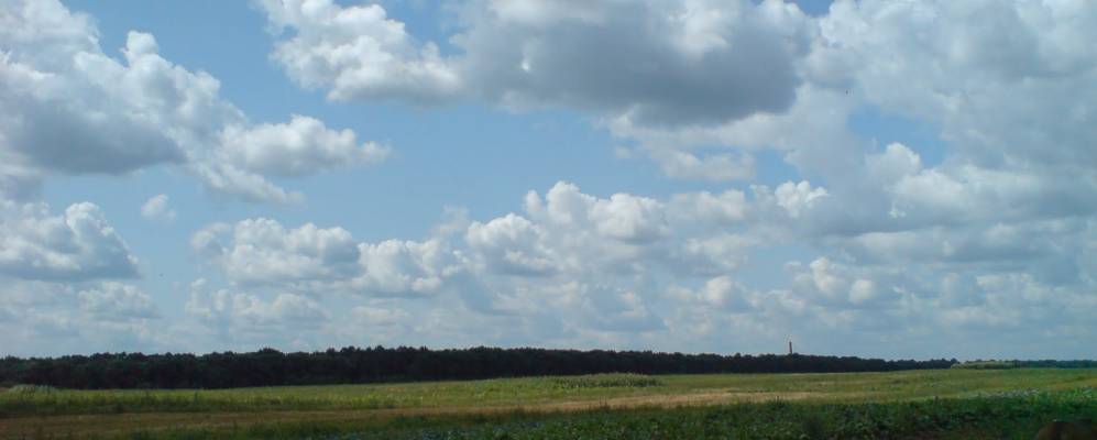 
            Фотография Бродова