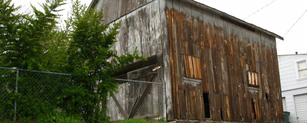 
            Фотография Джэксона