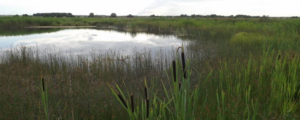 Фотография деревни Лупишки
