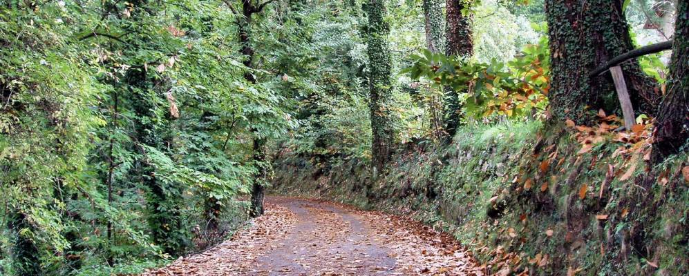 
            Фотография Феццано