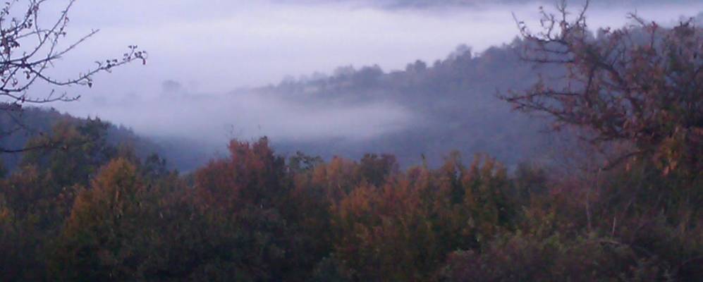 
            Фотография Округлой