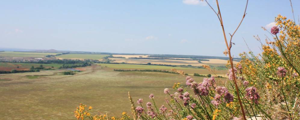 
            Фотография Раево