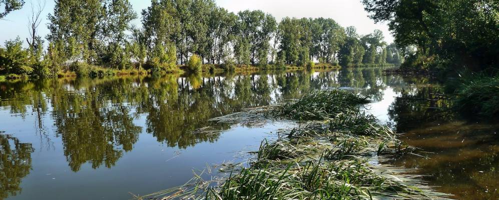 
            Фотография Зальцмюнде