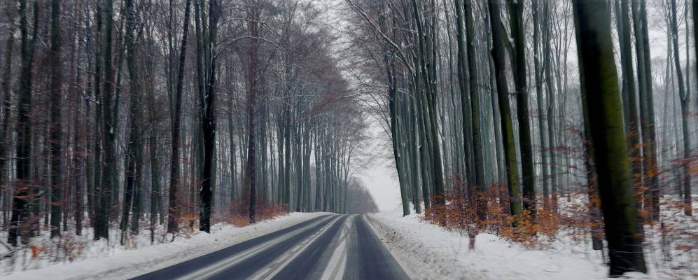 
            Фотография Молочного