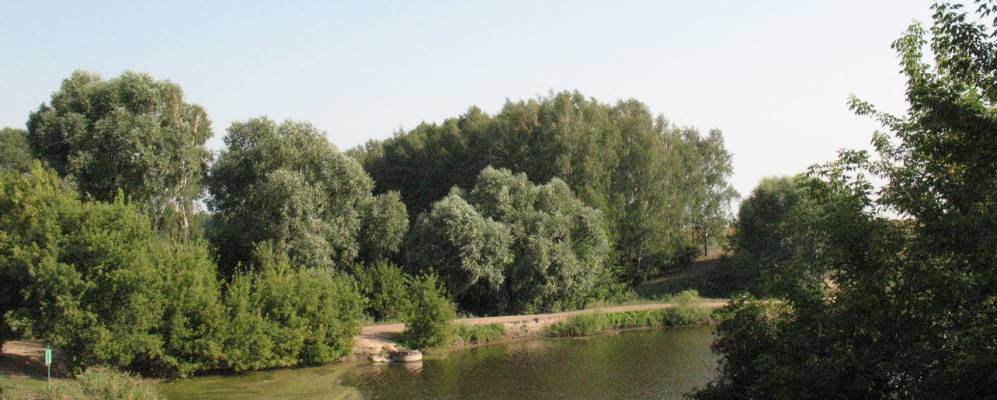 
            Фотография Займища