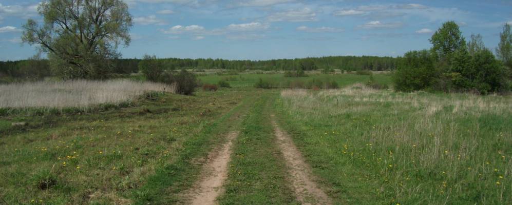 
            Фотография Волышево