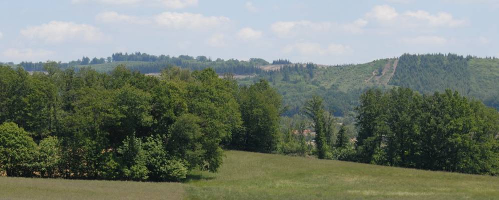 
            Фотография Сен-Пьер-де-Фрюжи