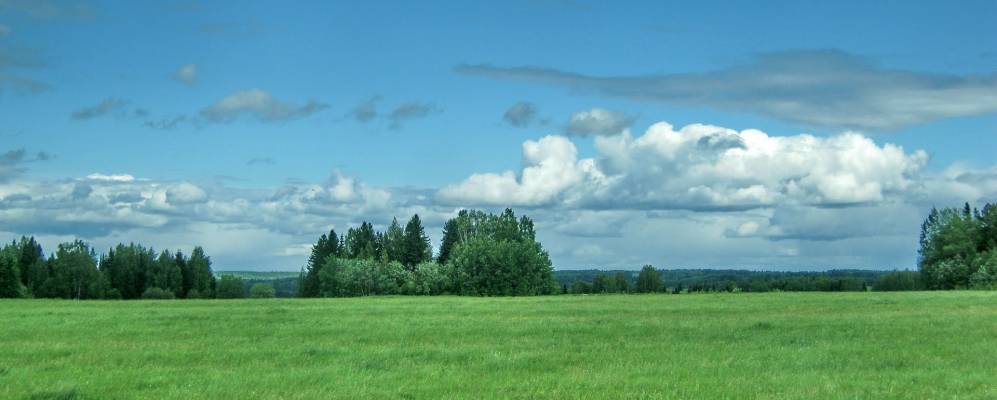 Фотография Миронов