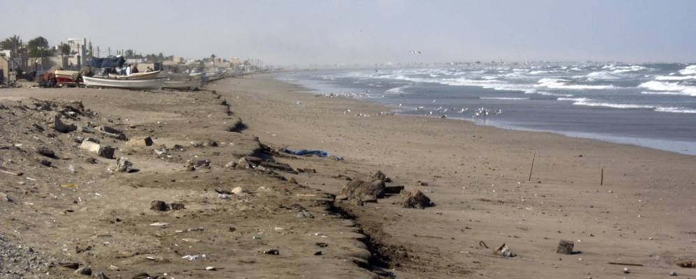 
            Фотография Барка