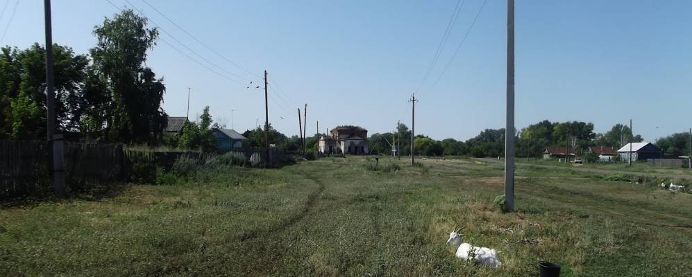 
            Фотография Жилинки