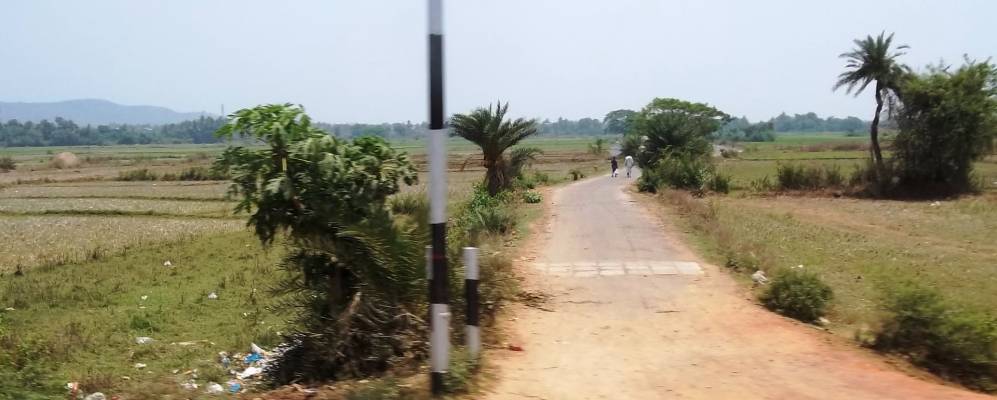 
            Фотография Сомпеты