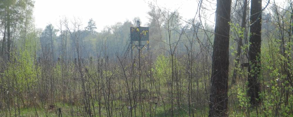 
            Фотография Первомайского